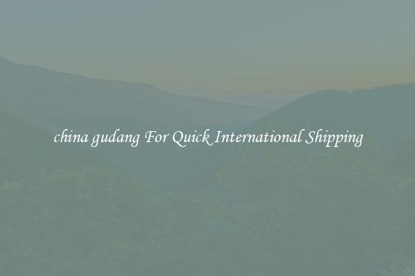 china gudang For Quick International Shipping