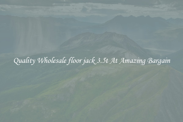Quality Wholesale floor jack 3.5t At Amazing Bargain