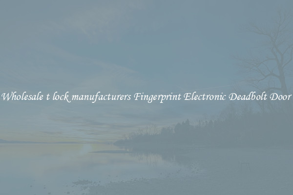 Wholesale t lock manufacturers Fingerprint Electronic Deadbolt Door 