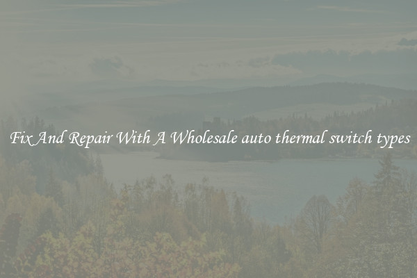 Fix And Repair With A Wholesale auto thermal switch types