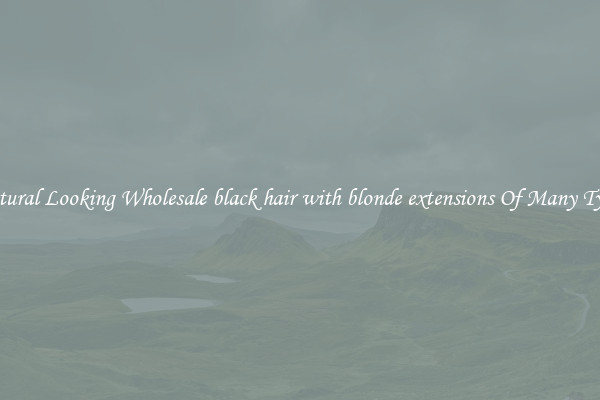 Natural Looking Wholesale black hair with blonde extensions Of Many Types