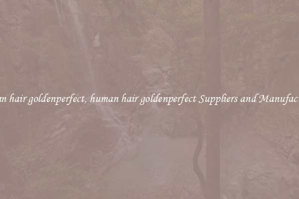 human hair goldenperfect, human hair goldenperfect Suppliers and Manufacturers