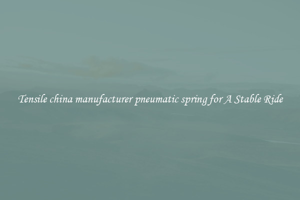 Tensile china manufacturer pneumatic spring for A Stable Ride