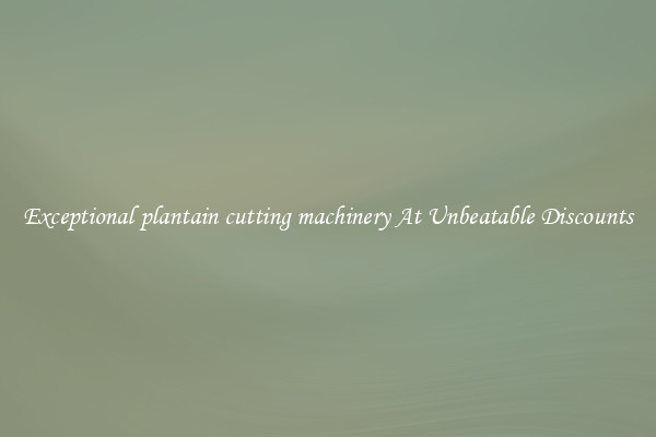 Exceptional plantain cutting machinery At Unbeatable Discounts