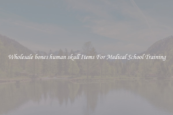 Wholesale bones human skull Items For Medical School Training