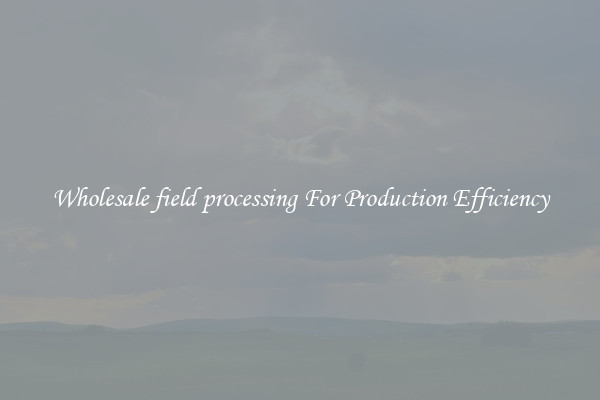 Wholesale field processing For Production Efficiency