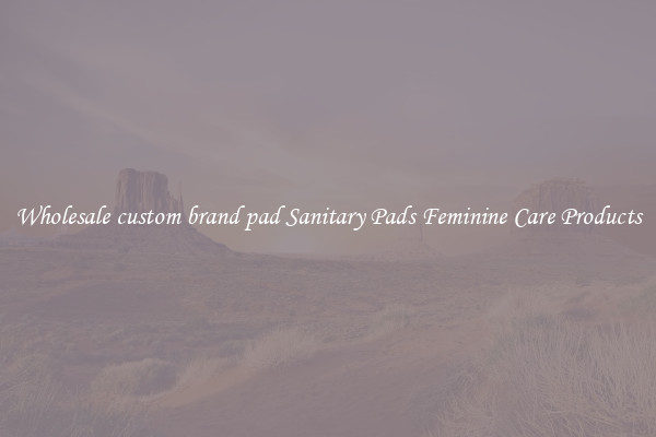 Wholesale custom brand pad Sanitary Pads Feminine Care Products