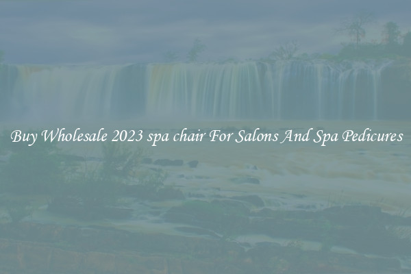 Buy Wholesale 2023 spa chair For Salons And Spa Pedicures