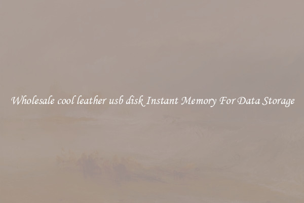Wholesale cool leather usb disk Instant Memory For Data Storage