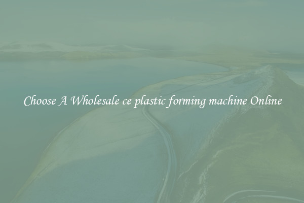 Choose A Wholesale ce plastic forming machine Online