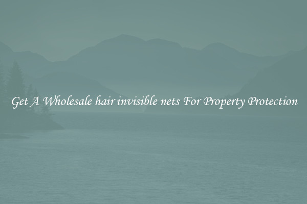 Get A Wholesale hair invisible nets For Property Protection