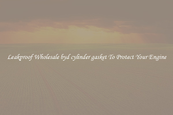 Leakproof Wholesale byd cylinder gasket To Protect Your Engine