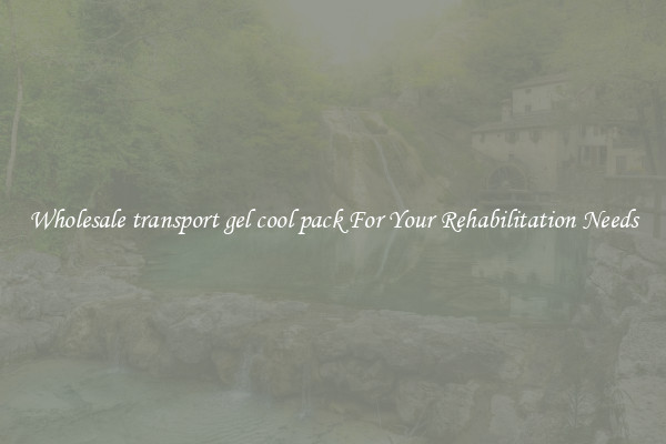 Wholesale transport gel cool pack For Your Rehabilitation Needs