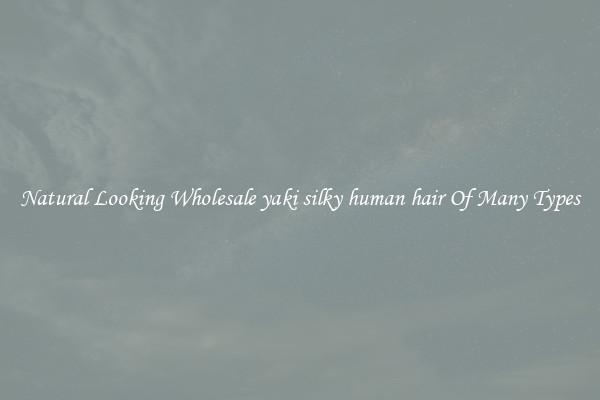 Natural Looking Wholesale yaki silky human hair Of Many Types