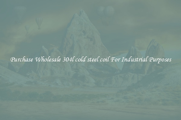 Purchase Wholesale 304l cold steel coil For Industrial Purposes